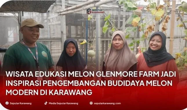 Wisata Edukasi Petik Melon di Glenmore Farm Karawang, KERSA Siapkan Sentra Pertanian Modern Berbasis Greenhouse